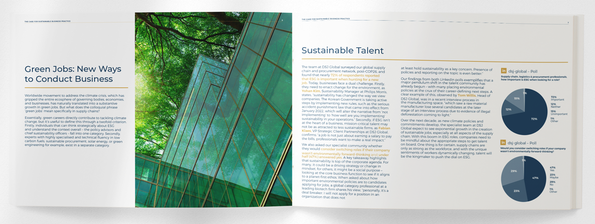 DSJ Global Sustainability report